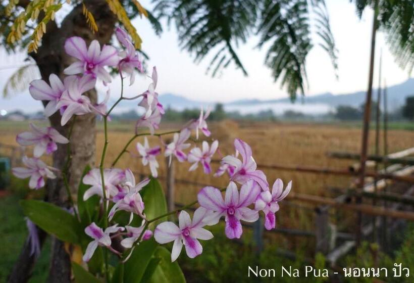 פנסיון Non Na Pua   นอนนา ปัว