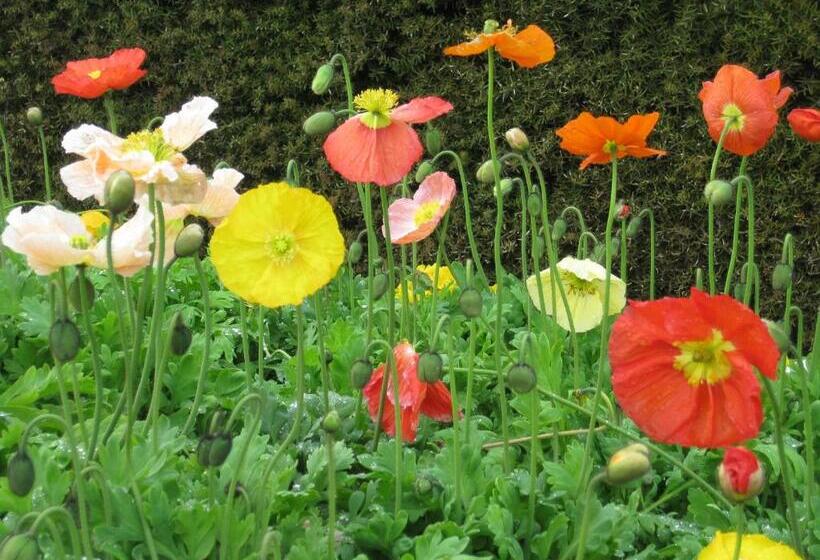 Breakaway Bed & Breakfast