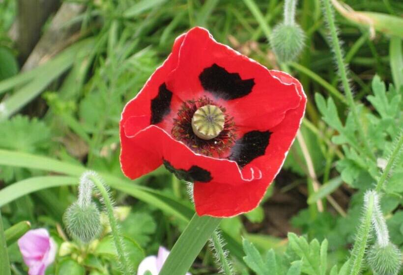 Breakaway Bed & Breakfast