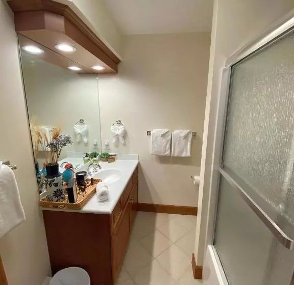 P4 New Ski In Ski Out Presidential View Luxury Home W Garage Ping Pong