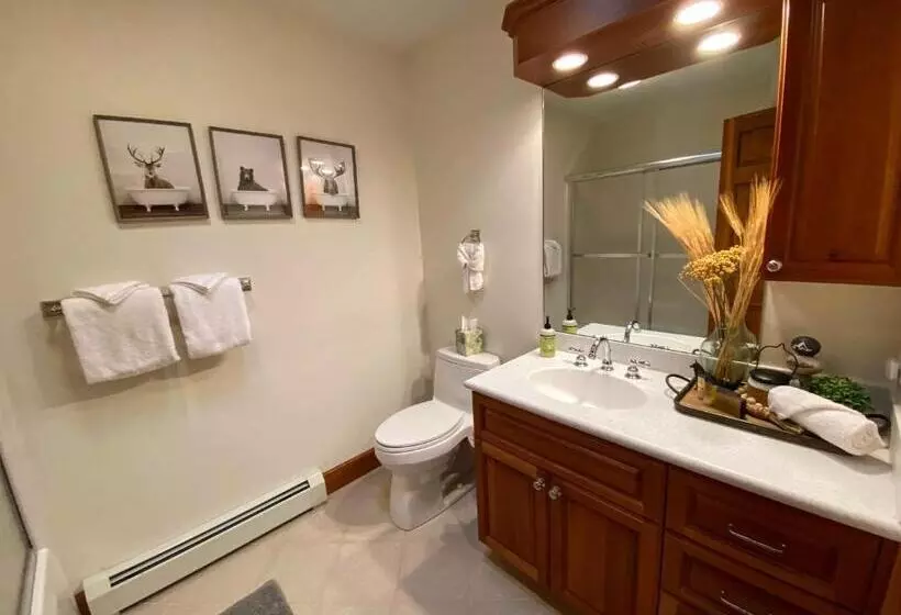 P4 New Ski In Ski Out Presidential View Luxury Home W Garage Ping Pong