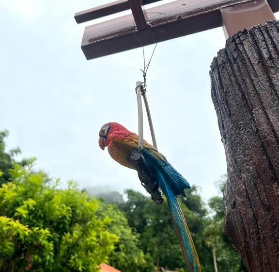 پانسیون นพรัตน์การ์เด้นฮิลล์