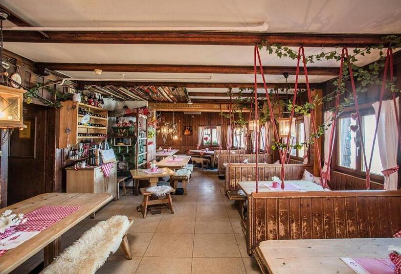 هاستل Hocheckhuette On Top Of The Kitzbuehel Hahnenkamm Mountain