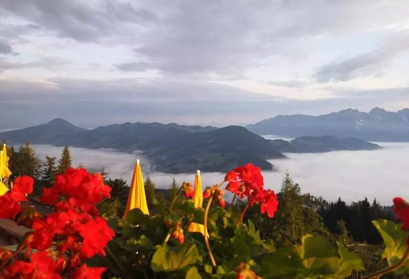 هاستل Hocheckhuette On Top Of The Kitzbuehel Hahnenkamm Mountain