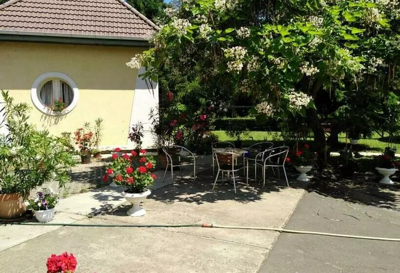 Aamiaismajoitus (B&B) Harang Panzió