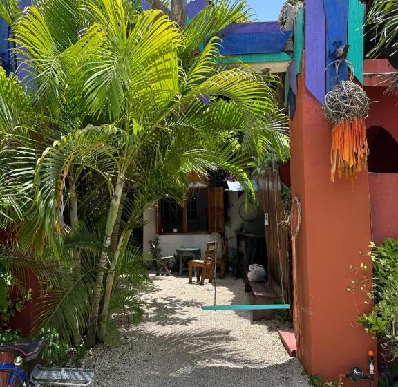 پانسیون Black Jaguar Hostel