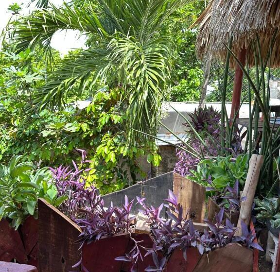 پانسیون Black Jaguar Hostel