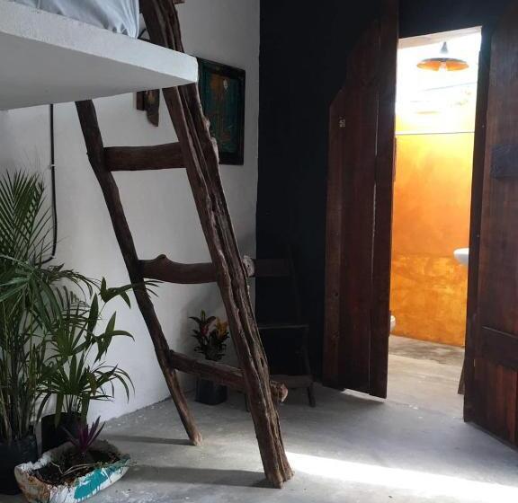 پانسیون Black Jaguar Hostel