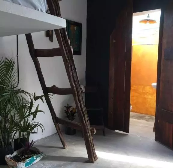 پانسیون Black Jaguar Hostel