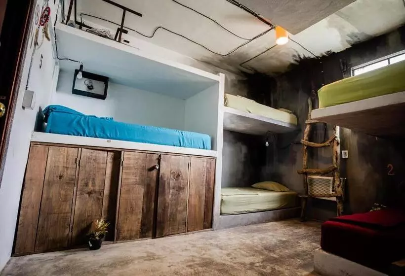 پانسیون Black Jaguar Hostel