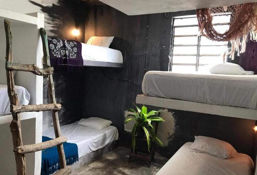 پانسیون Black Jaguar Hostel