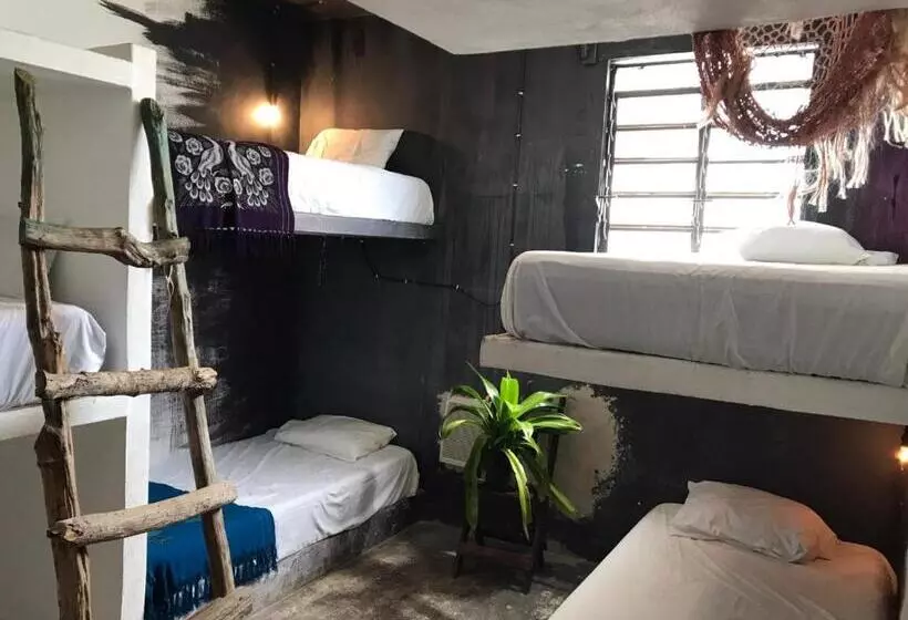 پانسیون Black Jaguar Hostel