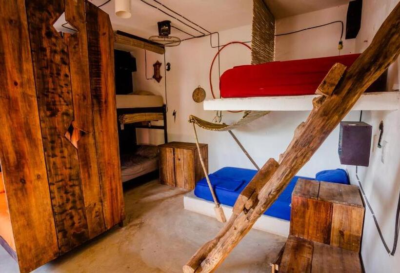 پانسیون Black Jaguar Hostel