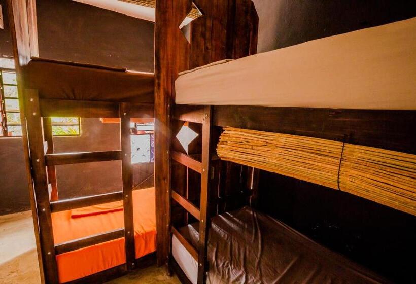 پانسیون Black Jaguar Hostel