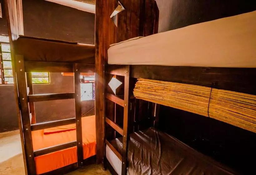 پانسیون Black Jaguar Hostel