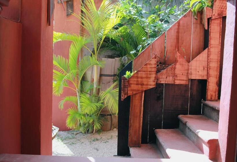 پانسیون Black Jaguar Hostel