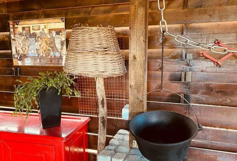 Majatalo Casa Pisica Noastra