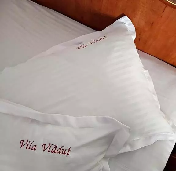 Majatalo Vila Vlăduț