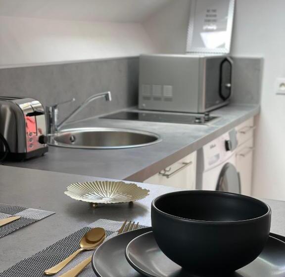 Studio Hypercentre Quartier Gare