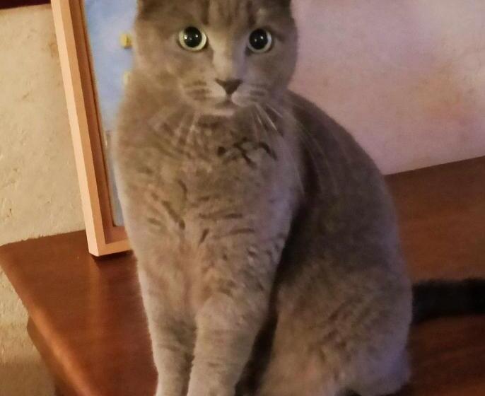 تختخواب و صبحانه Les Chambres D Hotes Chez Alisa Et Daniel