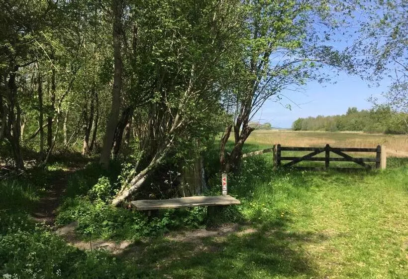 Fraai Tiny House Aan Het Veluwemeer Met Uitzicht & Veranda
