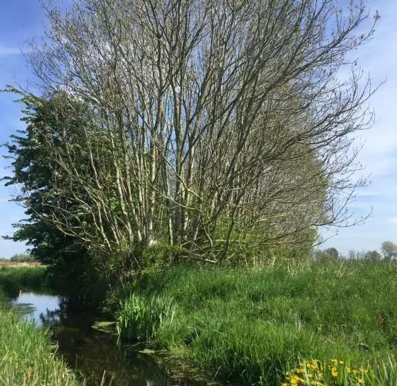 Fraai Tiny House Aan Het Veluwemeer Met Uitzicht & Veranda