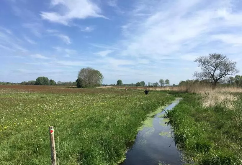 Fraai Tiny House Aan Het Veluwemeer Met Uitzicht & Veranda