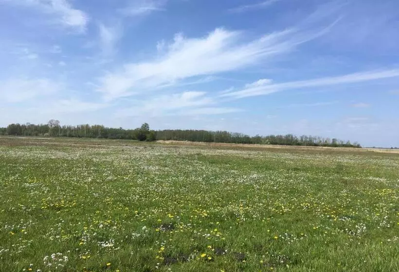 Fraai Tiny House Aan Het Veluwemeer Met Uitzicht & Veranda