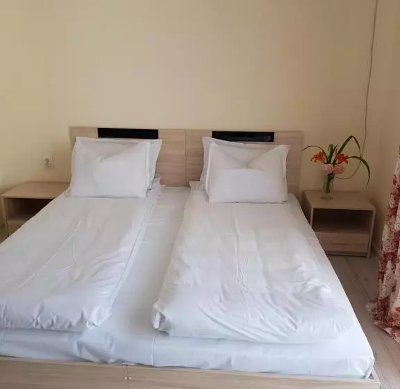 پانسیون Guesthouse Zanier