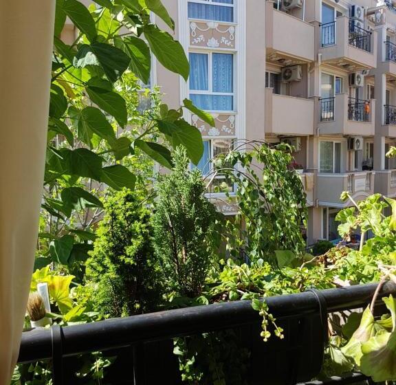 پانسیون Guesthouse Zanier