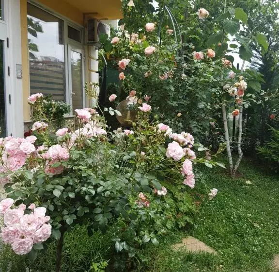 پانسیون Guesthouse Zanier