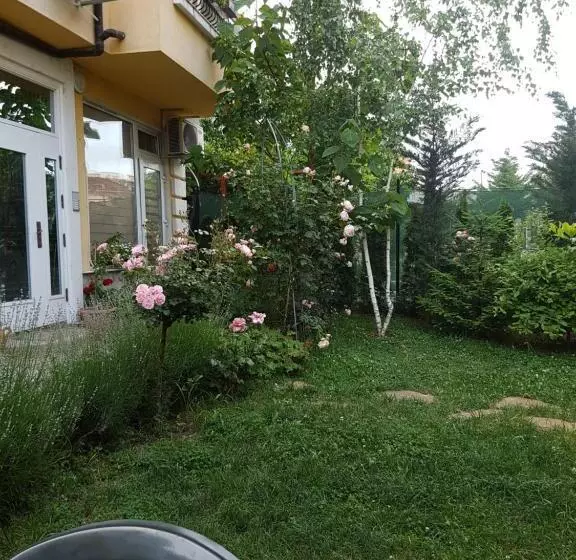 پانسیون Guesthouse Zanier