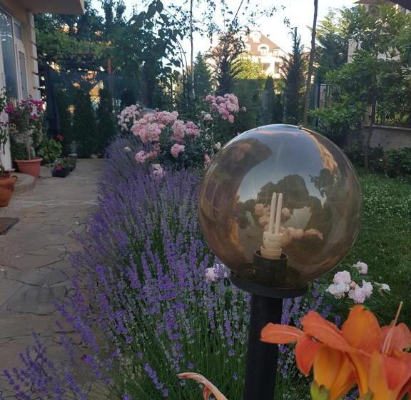 پانسیون Guesthouse Zanier