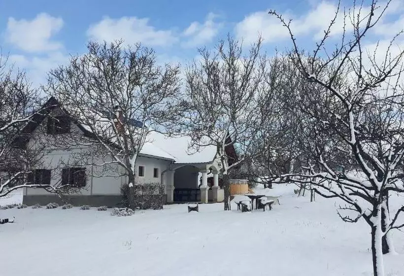 ペンション István Pince Vendégház