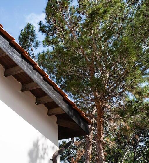 Pine And Olive Seahouse