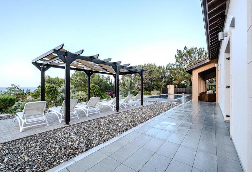 Pine And Olive Seahouse