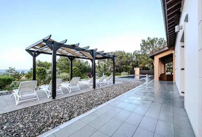 Pine And Olive Seahouse