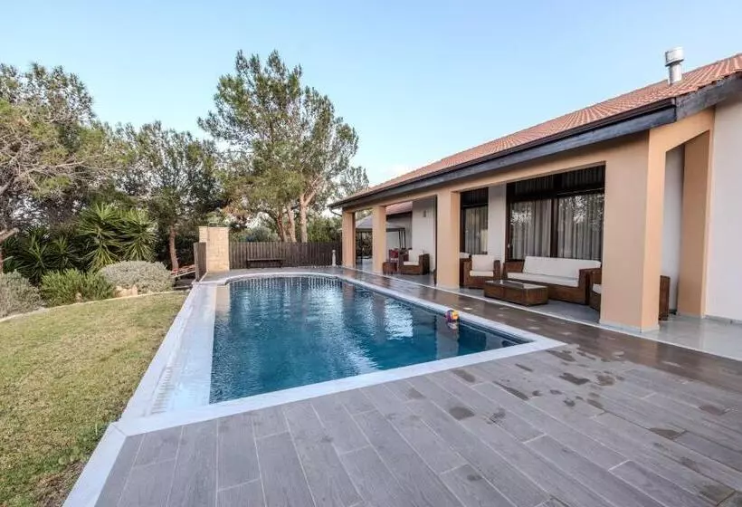 Pine And Olive Seahouse