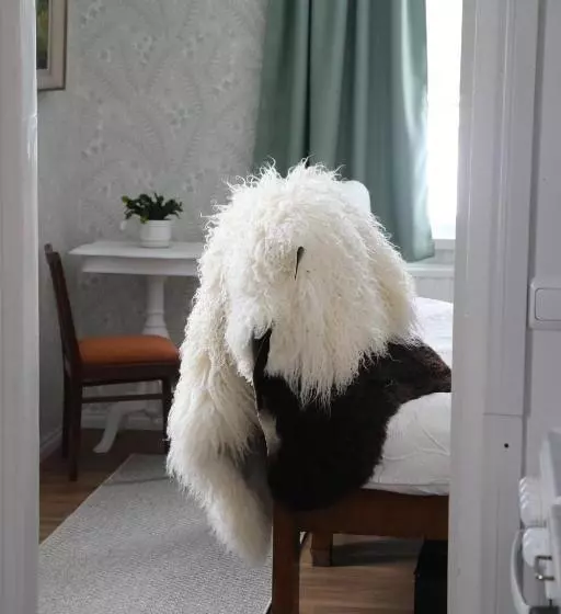 Putkisalon Kartano Hellahuoneisto