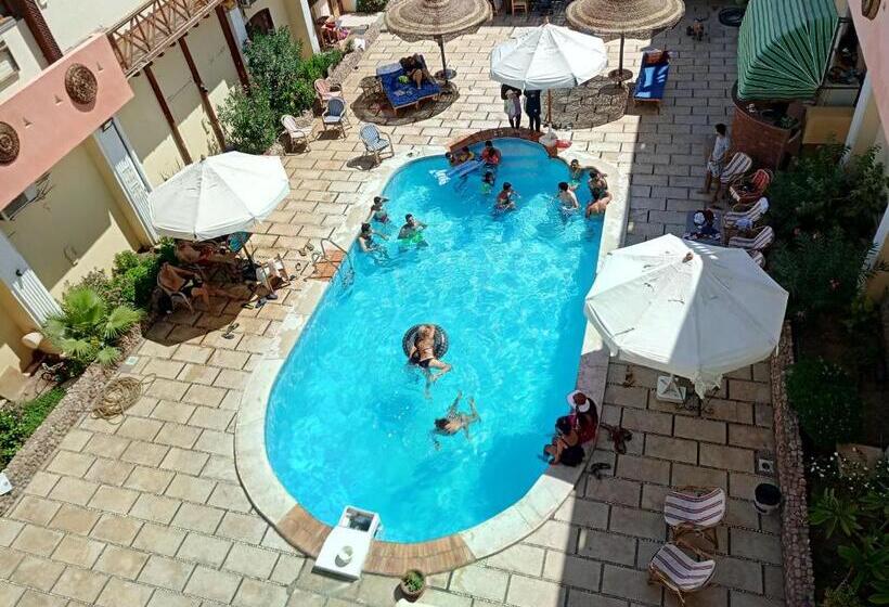 هاستل Delta Dahab