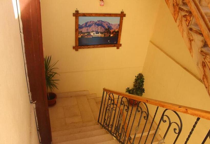 هاستل Delta Dahab