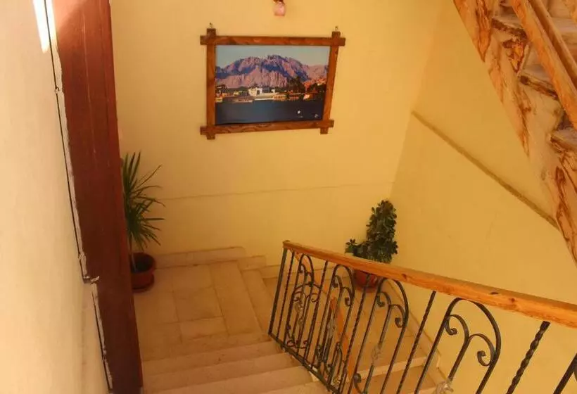 هاستل Delta Dahab