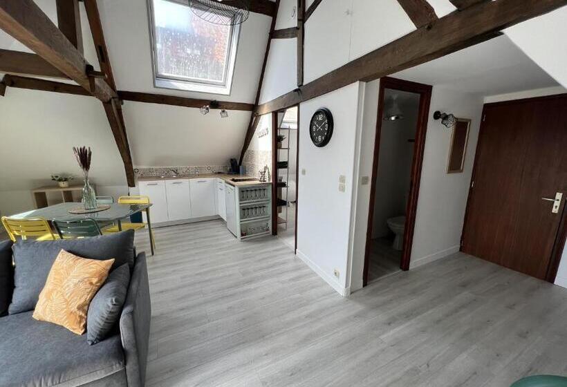 Appartement Le Saint Haut Centre Ville à Saint Omer