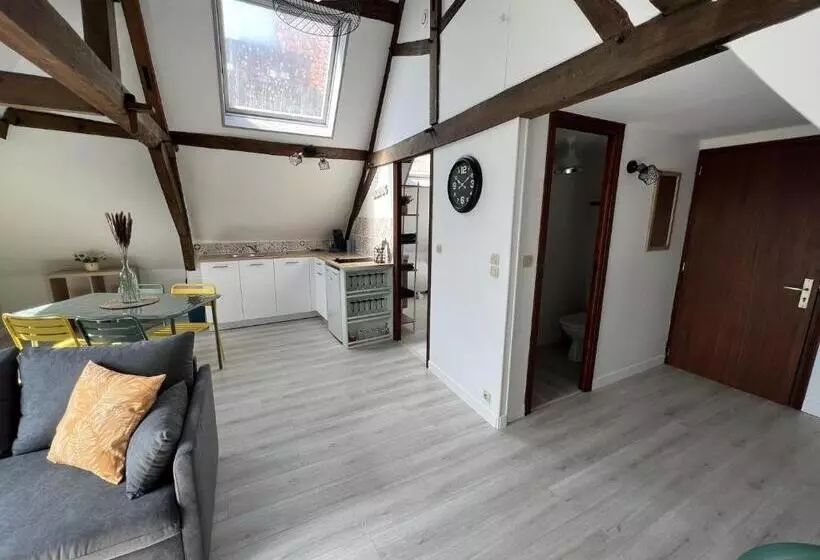Appartement Le Saint Haut Centre Ville à Saint Omer