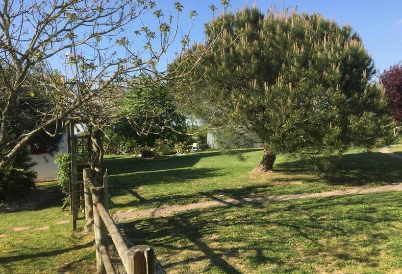 민박 Les Chambres Du Roc