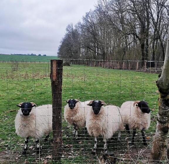 Charmante Maisonnette Au Calme Entre Beauce Et Perche