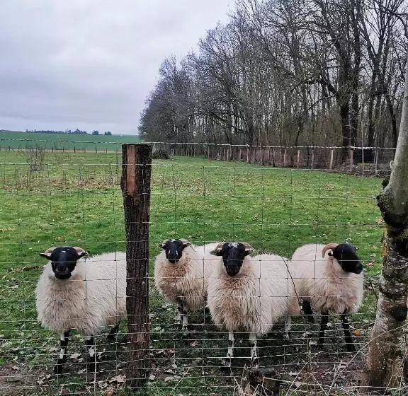 Charmante Maisonnette Au Calme Entre Beauce Et Perche