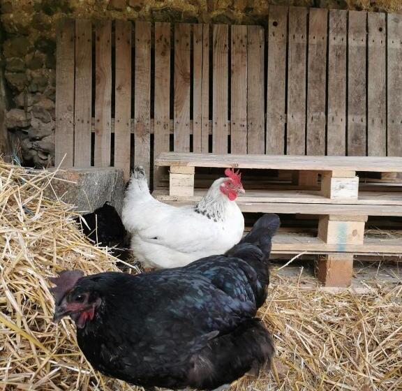 Charmante Maisonnette Au Calme Entre Beauce Et Perche