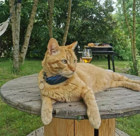 Charmante Maisonnette Au Calme Entre Beauce Et Perche