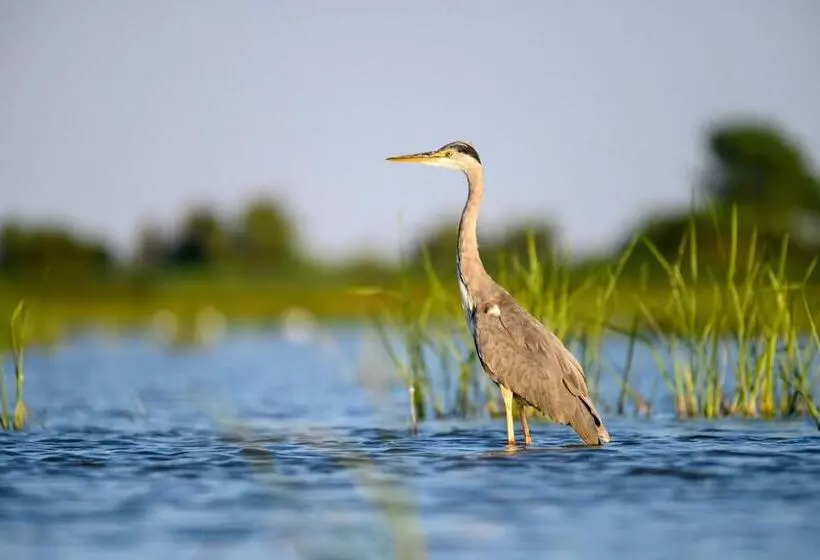 Danube Delta Hostel Homestay & Camping